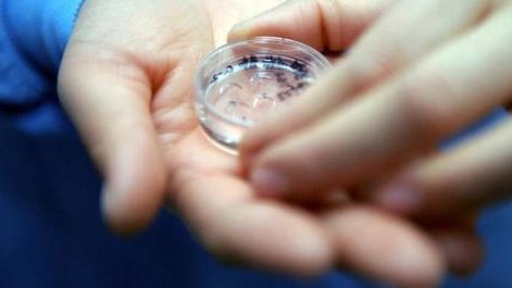 试管胚胎移植前内膜长到8又掉到6用药还会再涨上去吗？