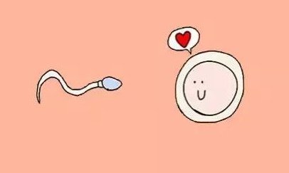 贵阳哪家医院做试管成功率高一些？妇幼保健院怎么样？