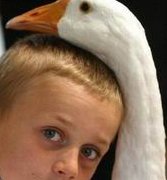 卵巢衰退吃什么药？调理卵巢早衰如何调理？