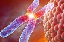 染色体异常不孕能在浙江省台州医院做三代试管怀孩子吗？男人染色体有问题能做试管吗？