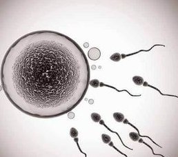 临汾人民医院试管怎么样？成功率高不高？