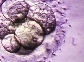 2026北华大学附属医院助孕生子试管费用表!附吉林医院排名揭晓