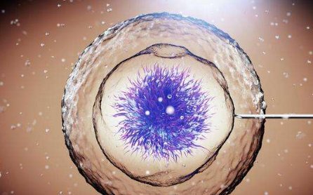 西安试管婴儿医院有哪些呢？西安试管婴儿医院哪家比较好？